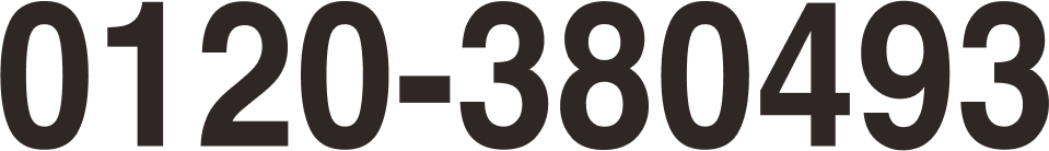 0120-380493